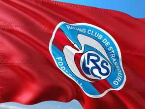 开云权威入口-荷兰队在欧洲预赛中继续保持领先优势